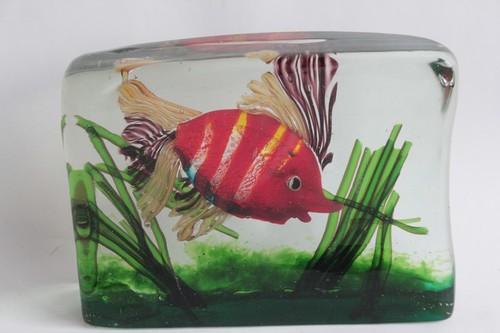 Murano aquarium poisson - murano,