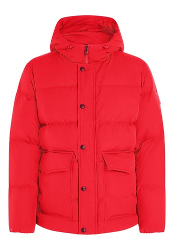 Tommy hilfiger down - hilfiger, hooded