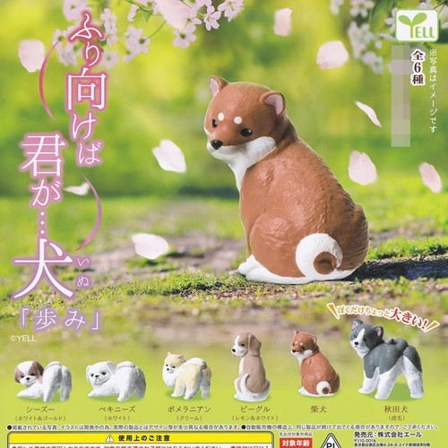 Furi mukeba kimi inu - furi,