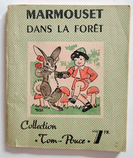 MARMOUSET DANSLA FORÊT