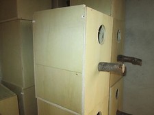 5 nids eupheme turquoisine