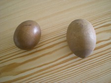 oeufs à repriser couture bois anciens (vente à l'unité possible)