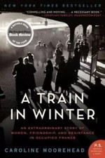 Train in Winter : An