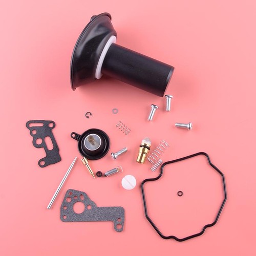 Carburetor repair kit - repair,