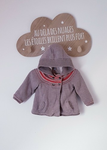 Gilet fourré à capuche - 🍂,