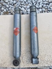 Paire d'amortisseurs arrière