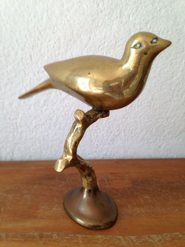 Superbe oiseau sur branche