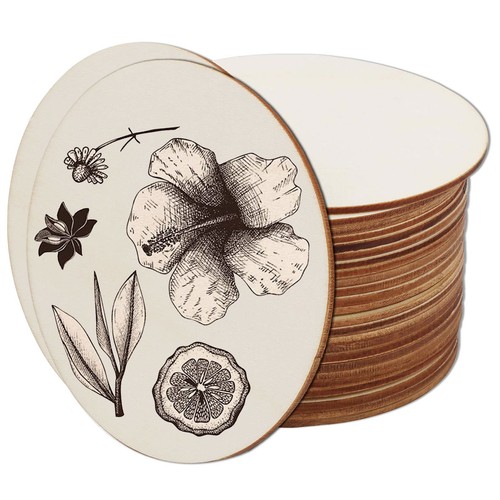 Disques bois 30 pièces - disques,