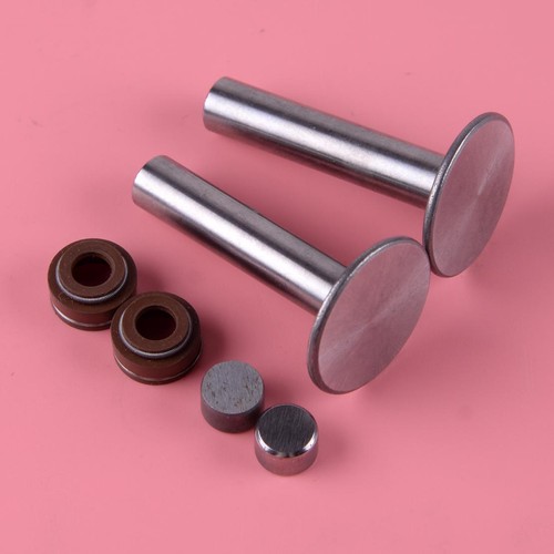 Valve lifter stem seal - lifter,