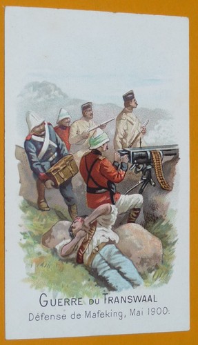 Chromo 1901 1914 chicoree - 1901-1914,