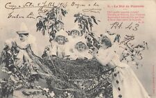 CP BERGERET LE NID DE PIERROTS