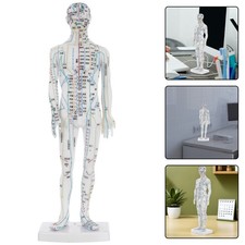  Modèle d'acupuncture humaine, mannequin d'affichage des points