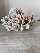 corail blanc naturel