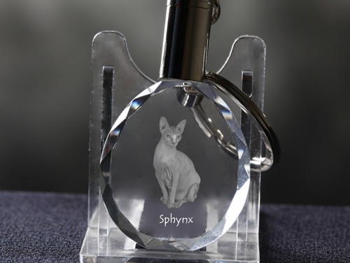 Sphynx chat cristal - sphynx,,