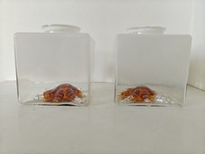 Lustre CUBIC 2 Globes Ice Cube