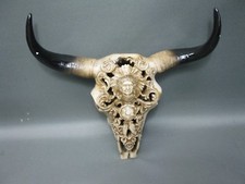 Crâne de Buffle Taureau Avec