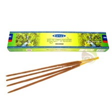 Encens ayurveda 15g Satya