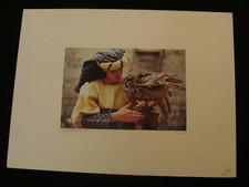 Louis Fournier « Le hiboux de Provins » fêtes médiévales 1996