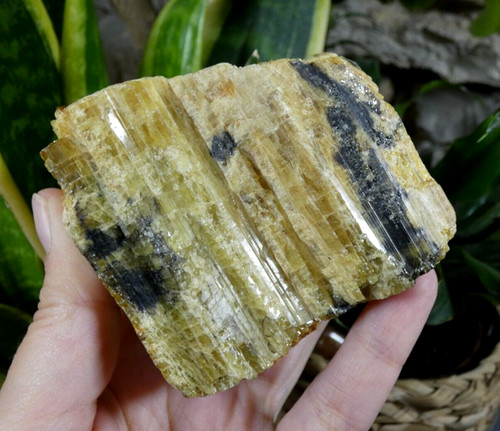 Xxl béryl jaune madagascar - xxl,