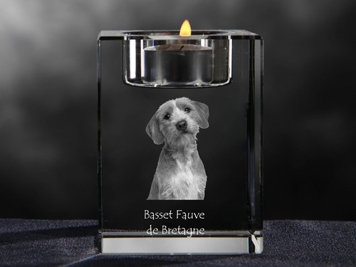 Basset fauve bretagne - fauve, de