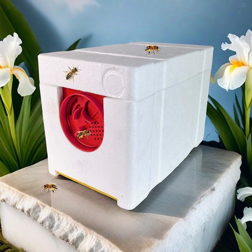 Boîte élevage reines - de,