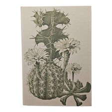 Neuzeitliche Soins Et