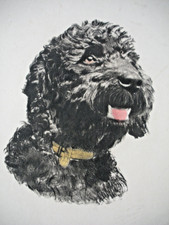 Gravure ancienne CANICHE ROYAL