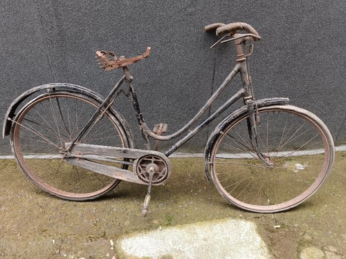 Vélo pour femmes anni - femmes, 40/50
