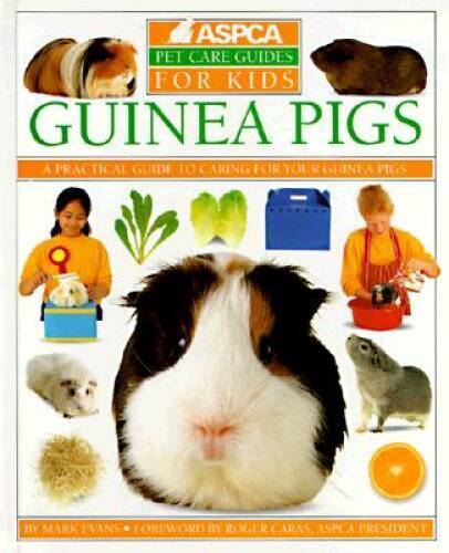 Guinea pigs aspca - pigs, care