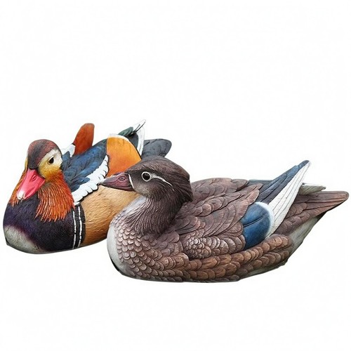 Canards mandarins flottants - canards,