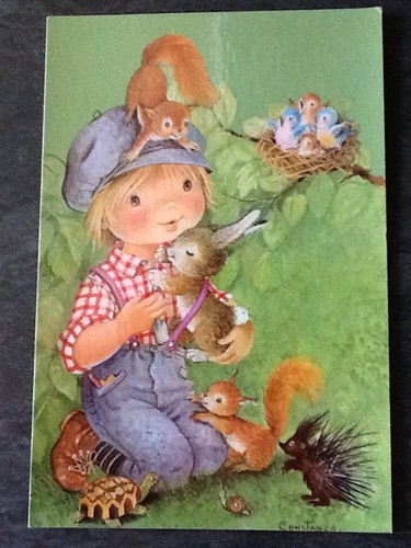 Lot cartes postales - lot,