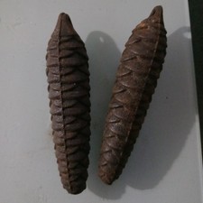 lot de 2 poids pomme de pin