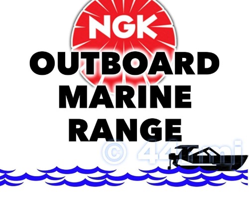 Neuf ngk bougie - ngk,