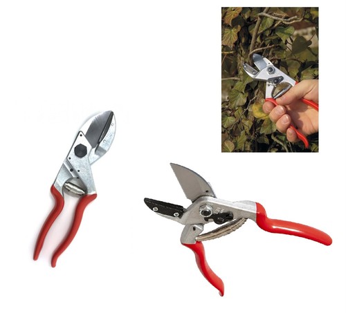 Felco sécateurs pour - sécateurs,