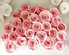 Roses à sucre 25 x 8-12 cm