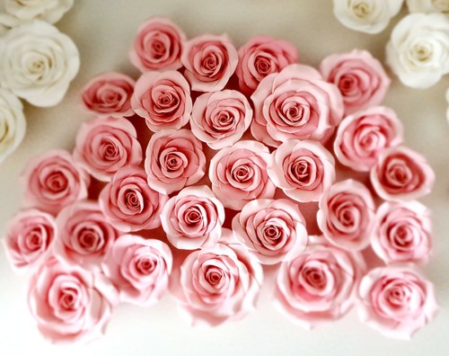 Roses sucre 8 12 cm - à, x