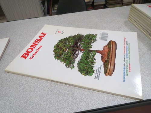 Ca111 bonsai creation 3 - bonsai,