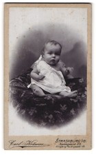 Photo Carl Krämer, Strassburg i /E., Spiesgasse 23 Eingang Hauergasse 18, Süsse 