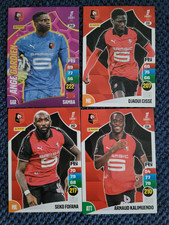 LOT DE 5 CARTES PANINI
