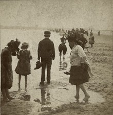 Enfants et adultes à la Plage Bord de l'eau c1900 Photo Stereo Citrate §n1