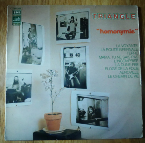 Triangle homonymie vinyl - triangle, :