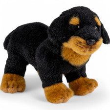 Rottweiler chien debout