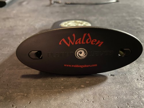 Walden planet waves acoustic - walden,