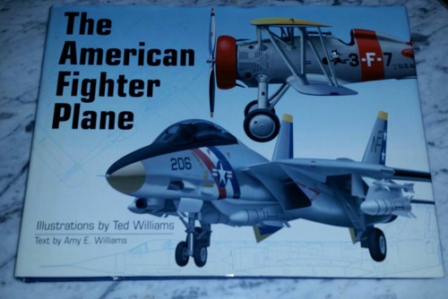 The american fighter plane - fighter,