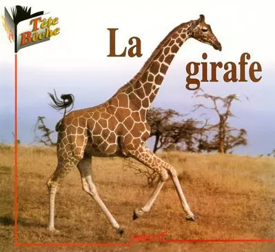 Girafe pemf - la, girafe,