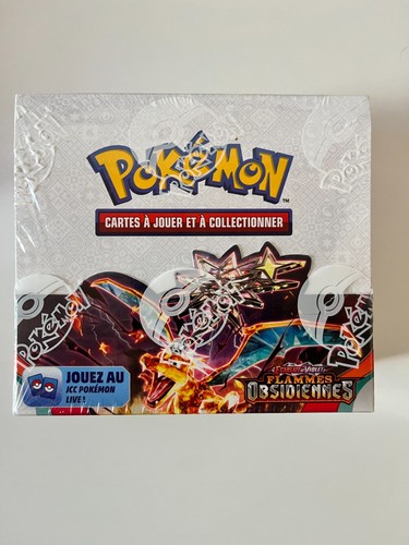 Pokémon display ev3 - pokémon, flammes