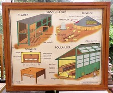 ancienne affiche scolaire rossignol basse cour clapier poulailler fumier purin