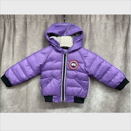 Canada goose baby logan - goose,