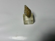 Objet gallo romain . Plomb de fronde . 