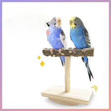Jouet perchoir pour perroquet